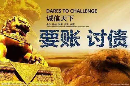 陆丰追债公司
